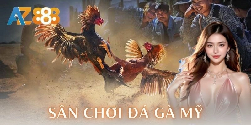 Sân chơi đá gà Mỹ: Trải nghiệm cược đỉnh cao kịch trần